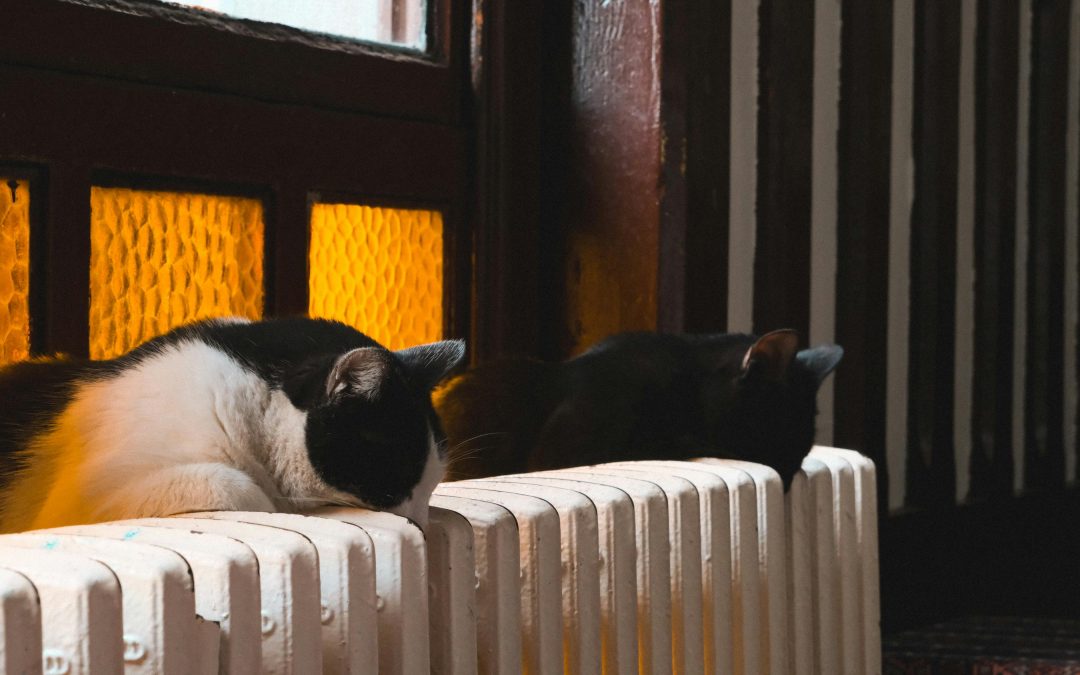 Heat Pumps for homes: The ultimate guide